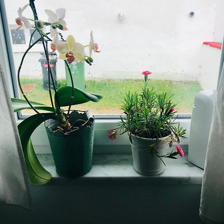 La Toskana Apartment Ihr Rueckzugsort Am Regen Zeitlarn Luaran gambar