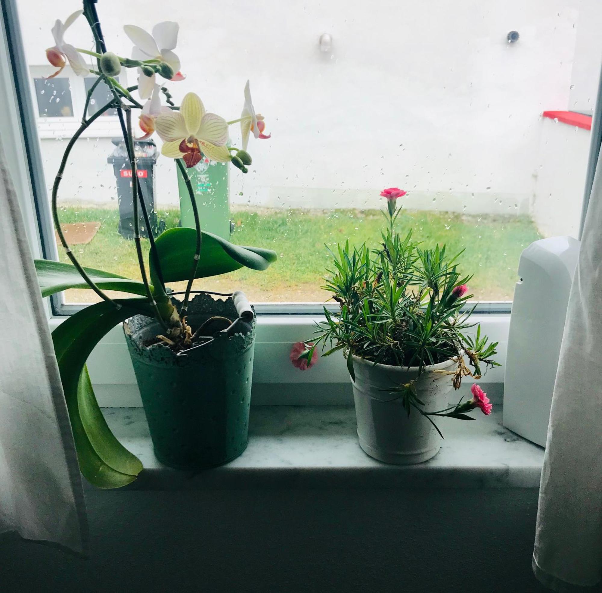 La Toskana Apartment Ihr Rueckzugsort Am Regen Zeitlarn Luaran gambar